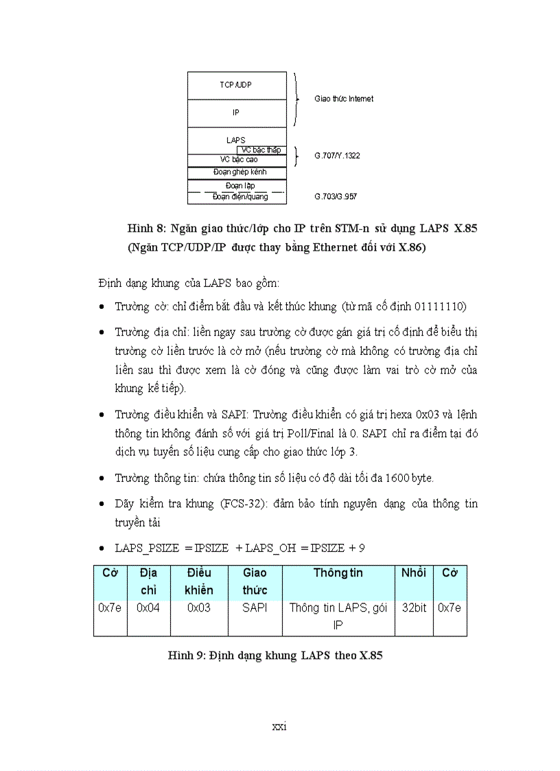 image for page Các giải pháp IP trên mạng quang