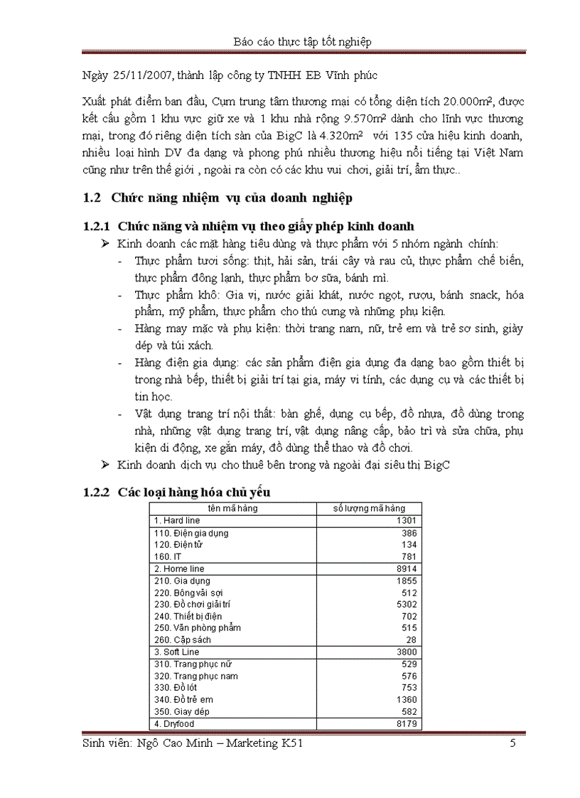 Báo cáo thực tập tốt nghiệp Công ty TNHH BigC Vĩnh Phúc