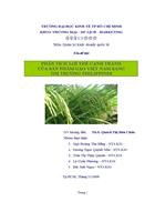 Phân tích lợi thế cạnh tranh của sản phẩm gạo Việt Nam sang thị trường Philippines