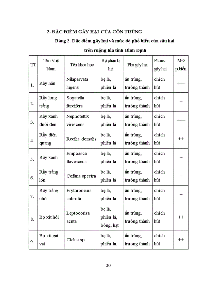 image for page Điều tra thành phần loài sâu hại và thiên địch của chúng trên ruộng lúa tỉnh bình định