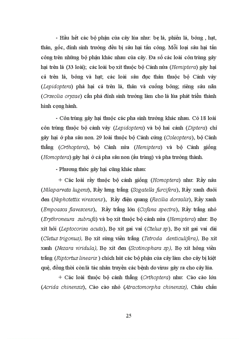 image for page Điều tra thành phần loài sâu hại và thiên địch của chúng trên ruộng lúa tỉnh bình định