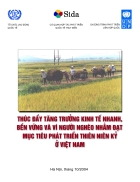 Thúc đẩy kinh tế tăng trưởng nhanh bền vững và vì người nghèo nhằm đạt được mục tiêu thiên niên kỷ ở Việt Nam