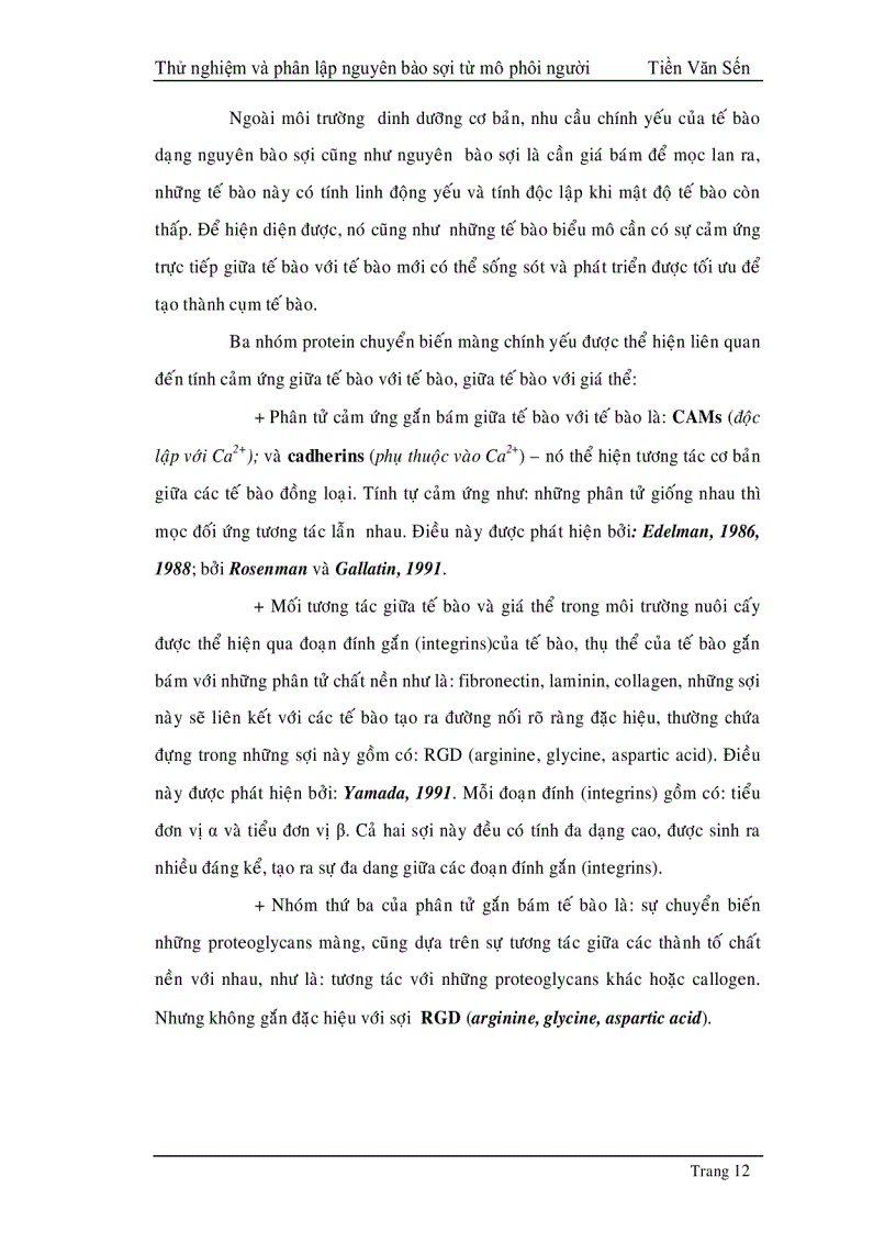 image for page Thử nghiệm phân lập và tạo dòng nguyên bào sợi từ mô phôi thai người