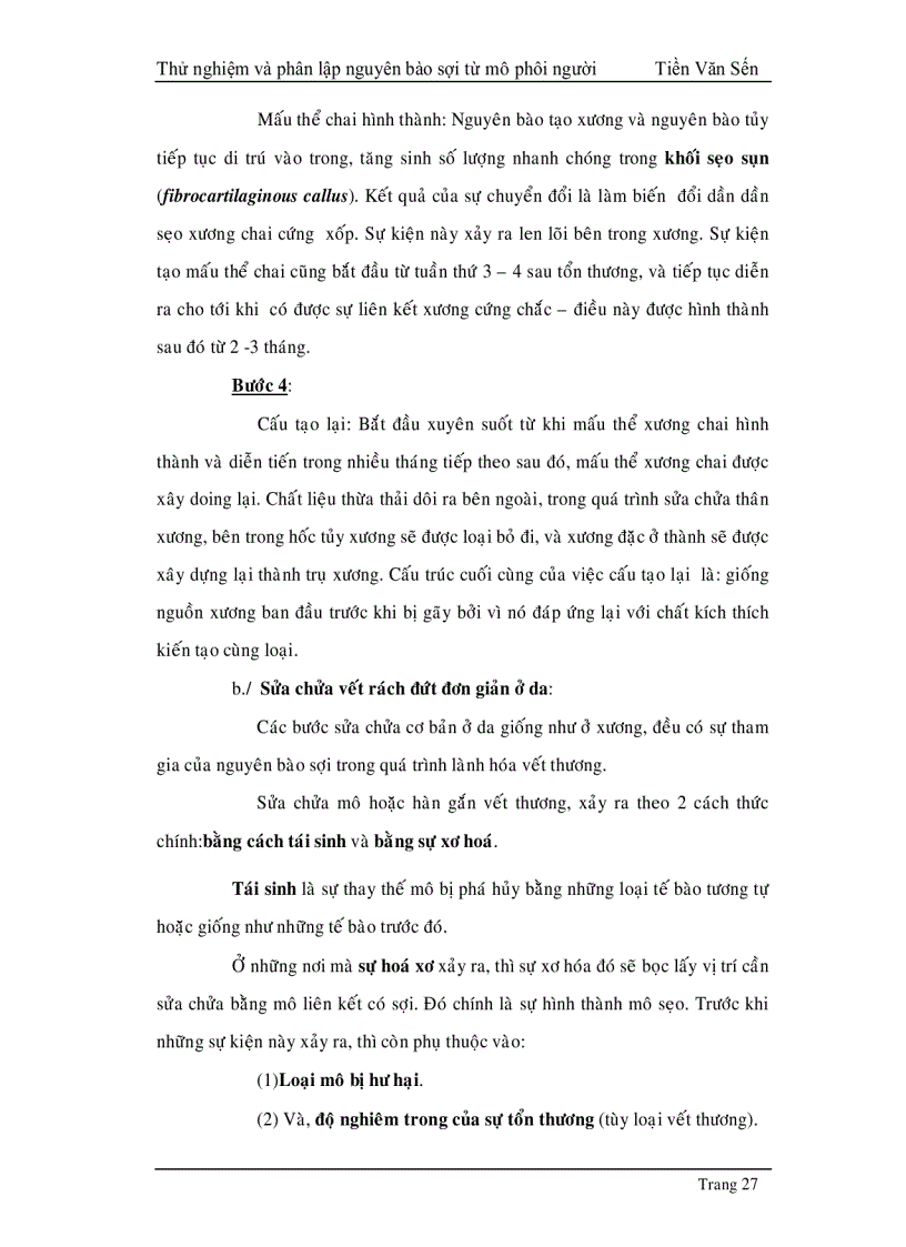 image for page Thử nghiệm phân lập và tạo dòng nguyên bào sợi từ mô phôi thai người