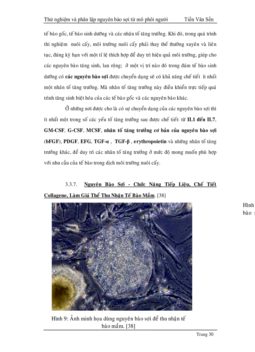 image for page Thử nghiệm phân lập và tạo dòng nguyên bào sợi từ mô phôi thai người