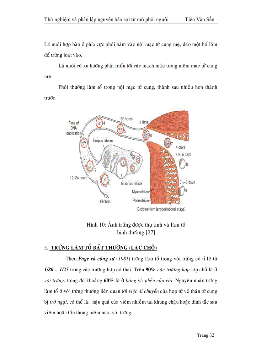 image for page Thử nghiệm phân lập và tạo dòng nguyên bào sợi từ mô phôi thai người