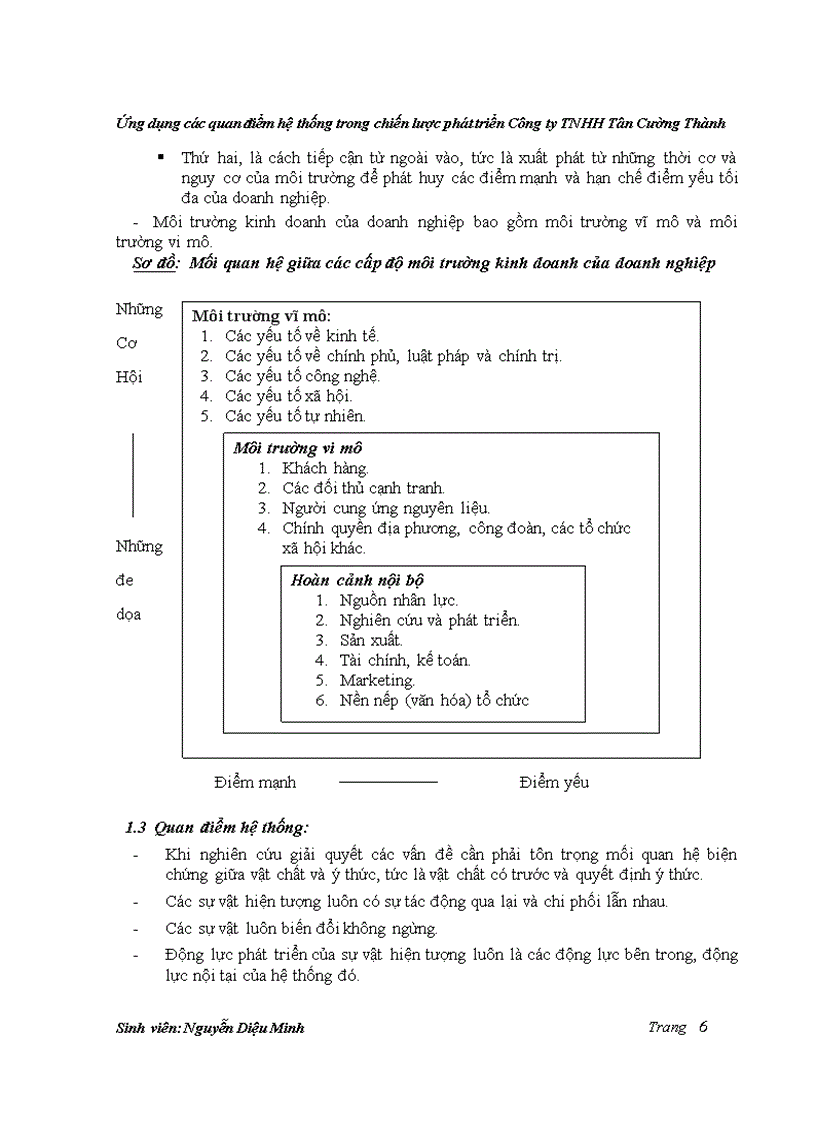 Ứng dụng các quan điểm hệ thống trong chiến lược phát triển công ty TNHH Tân Cường Thành