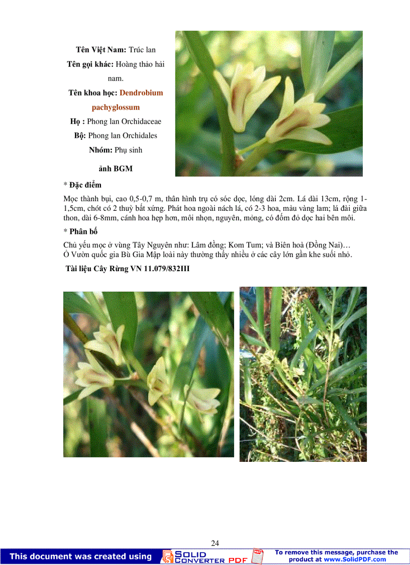 image for page Điều tra và qui tập bảo tồn các loài hoa lan Bù Gia Mập