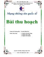 Tiểu luận E marketing tại Việt Nam
