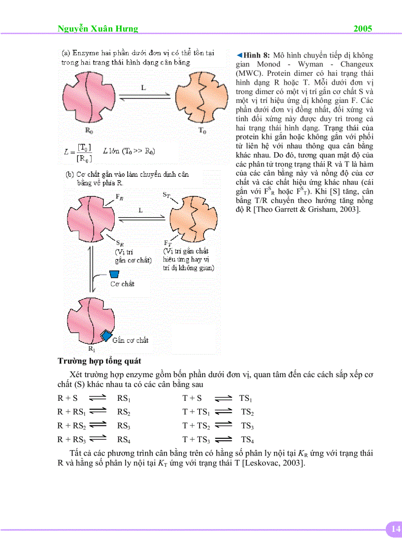 image for page Động học enzyne dị lập thể