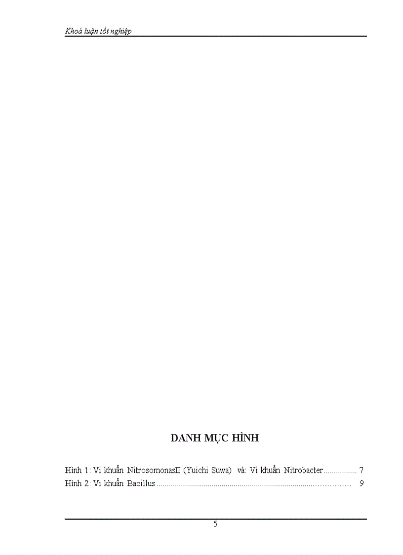 image for page Nghiên cứu xử lý amonibằng phương pháp sinh họcsử dụng các vi khuẩn tự dưỡng
