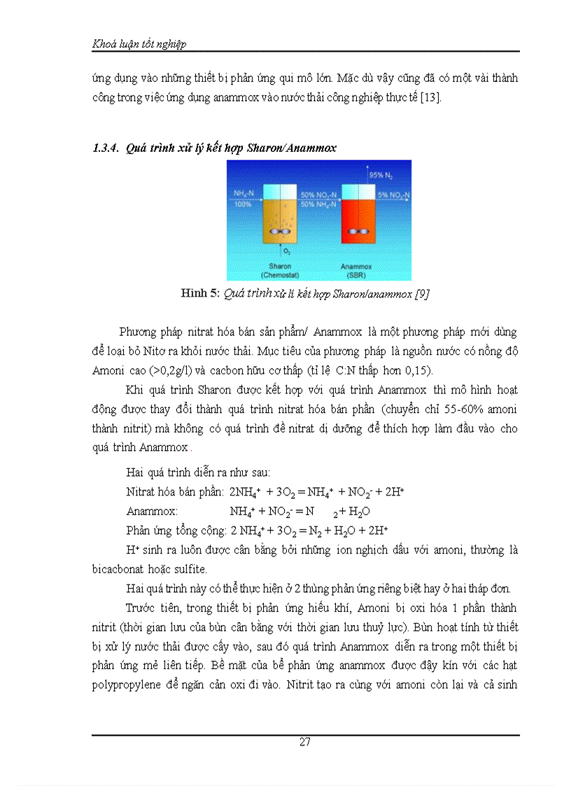 image for page Nghiên cứu xử lý amonibằng phương pháp sinh họcsử dụng các vi khuẩn tự dưỡng