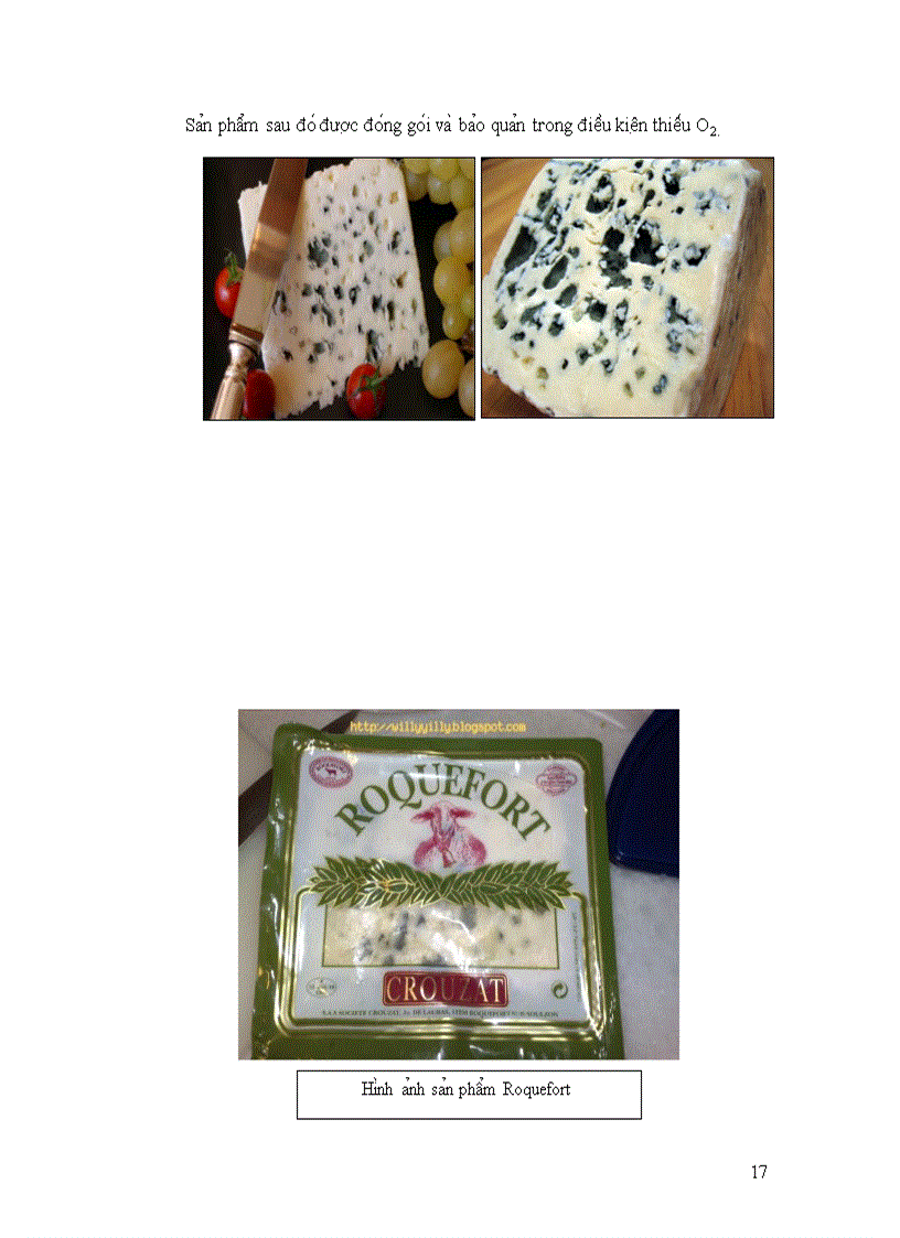 image for page Nâ m Mô c Penicilium