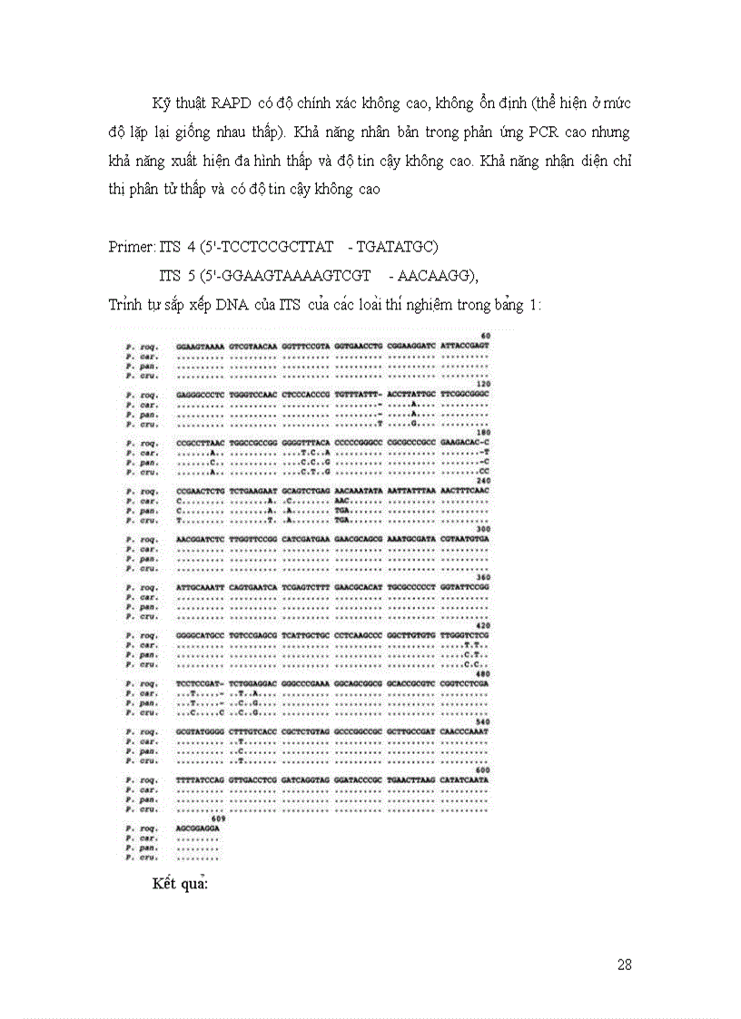 image for page Nâ m Mô c Penicilium