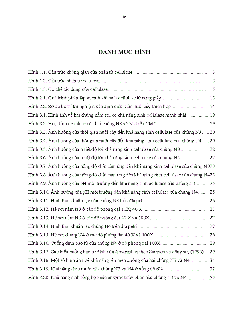 image for page Phân lập và tuyển chọn một số chủng vi sinh vật có khả năng sinh enzyme cellulase từ rong giấy tại Hòn Chồng Nha Trang