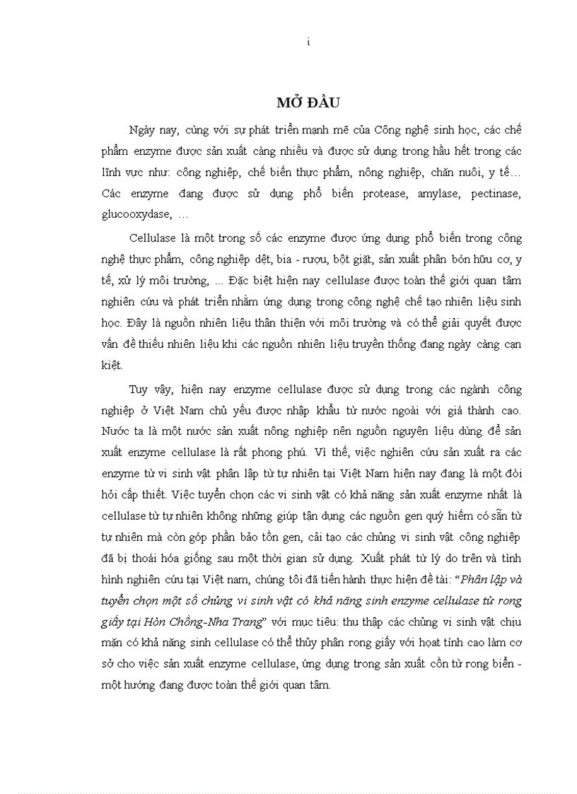 image for page Phân lập và tuyển chọn một số chủng vi sinh vật có khả năng sinh enzyme cellulase từ rong giấy tại Hòn Chồng Nha Trang
