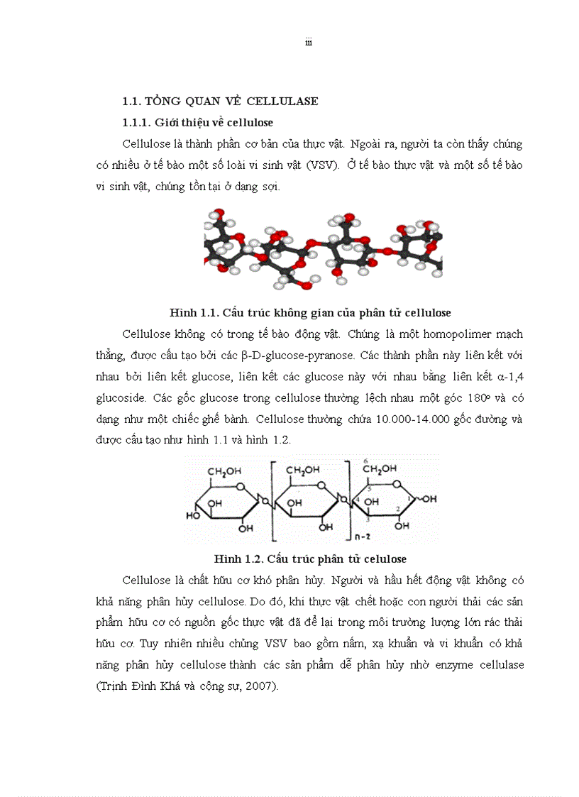 image for page Phân lập và tuyển chọn một số chủng vi sinh vật có khả năng sinh enzyme cellulase từ rong giấy tại Hòn Chồng Nha Trang