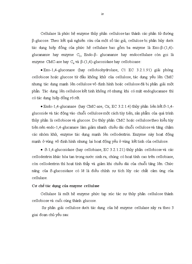 image for page Phân lập và tuyển chọn một số chủng vi sinh vật có khả năng sinh enzyme cellulase từ rong giấy tại Hòn Chồng Nha Trang