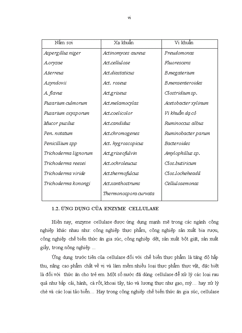 image for page Phân lập và tuyển chọn một số chủng vi sinh vật có khả năng sinh enzyme cellulase từ rong giấy tại Hòn Chồng Nha Trang