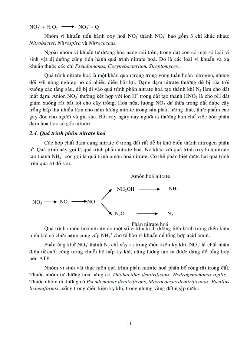 image for page Vi sinh môi trường