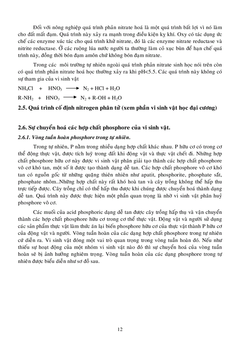 image for page Vi sinh môi trường