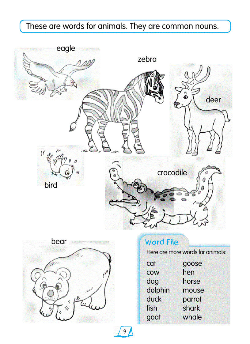 image for page Basic English Grammar Book