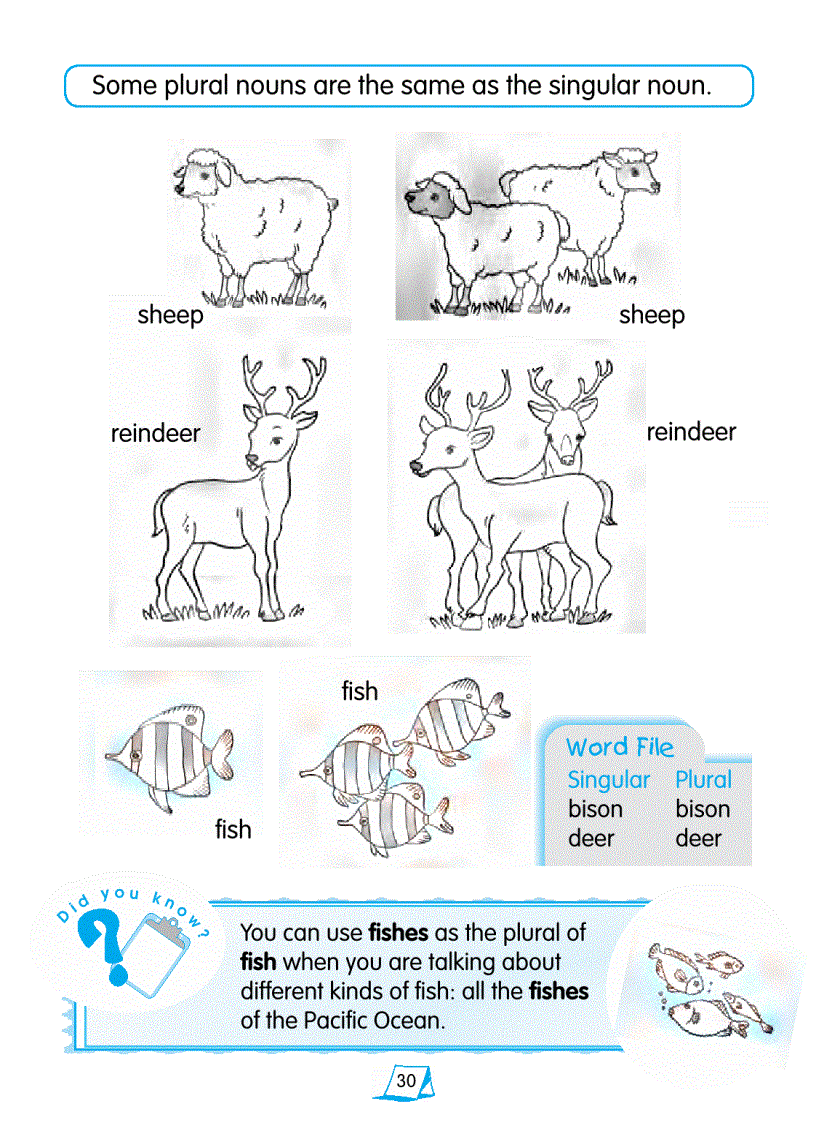 image for page Basic English Grammar Book