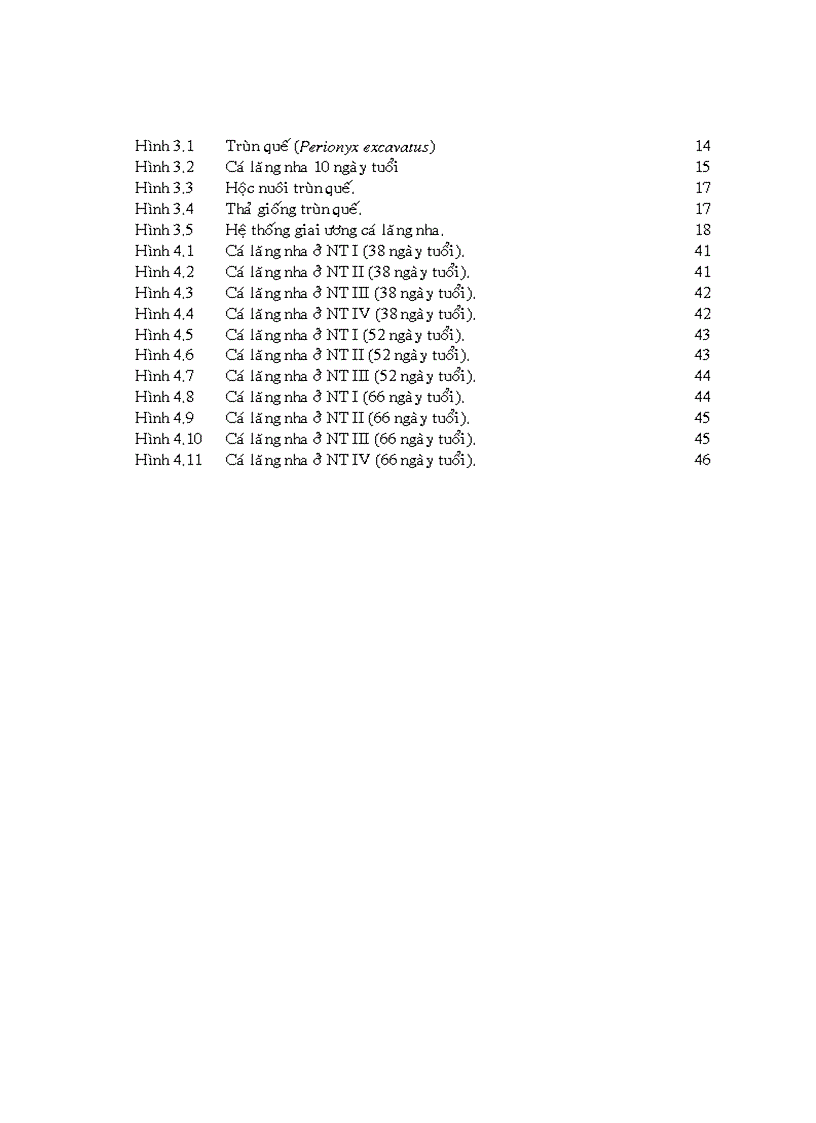 image for page Nuôi trùn quế và khảo sát ảnh hưởng của đạm trùn quế trong ương nuôi cá lăng nha Mystus wyckioides từ giai đoạn cá hương lên cá giống