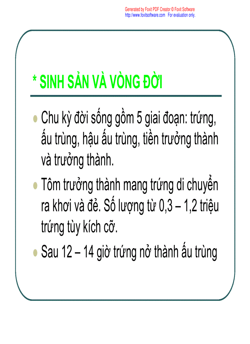 image for page Bài giảng Kỹ thuật nuôi tôm sú thâm canh