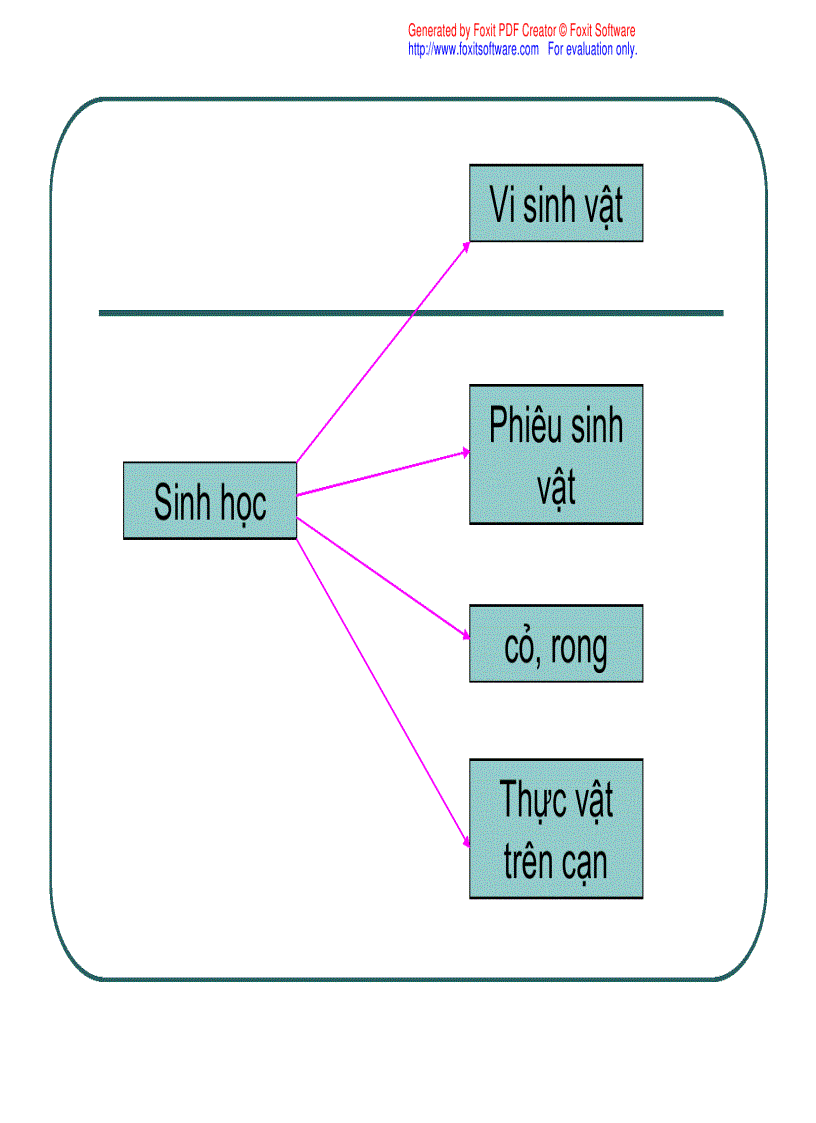 image for page Bài giảng Kỹ thuật nuôi tôm sú thâm canh