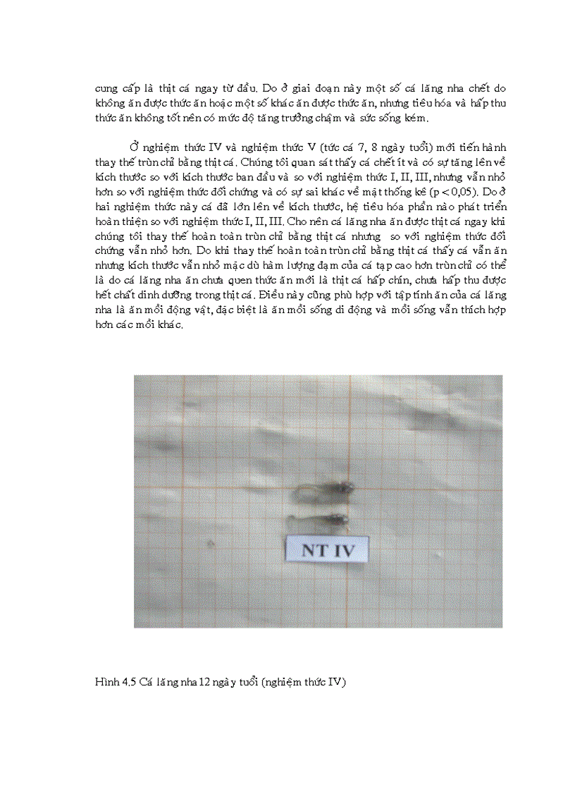 image for page Xác định thời điểm thay thế trùn chỉ bằng thịt cá trong ương nuôi cá lăng nha Mystus wyckioides