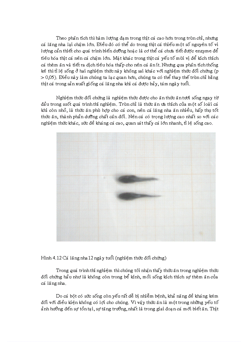 image for page Xác định thời điểm thay thế trùn chỉ bằng thịt cá trong ương nuôi cá lăng nha Mystus wyckioides