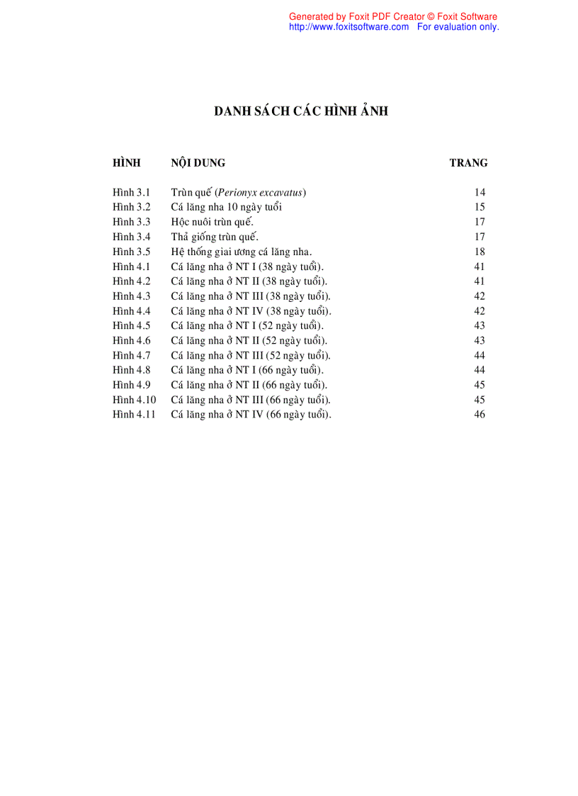 image for page Nuôi trùn quế và khảo sát ảnh hưởng của đạm trùn quế trong ương nuôi cá lăng nha Mystus wyckioides từ giai đoạn cá hương lên cá giống
