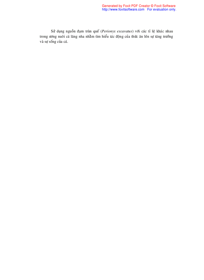 image for page Nuôi trùn quế và khảo sát ảnh hưởng của đạm trùn quế trong ương nuôi cá lăng nha Mystus wyckioides từ giai đoạn cá hương lên cá giống