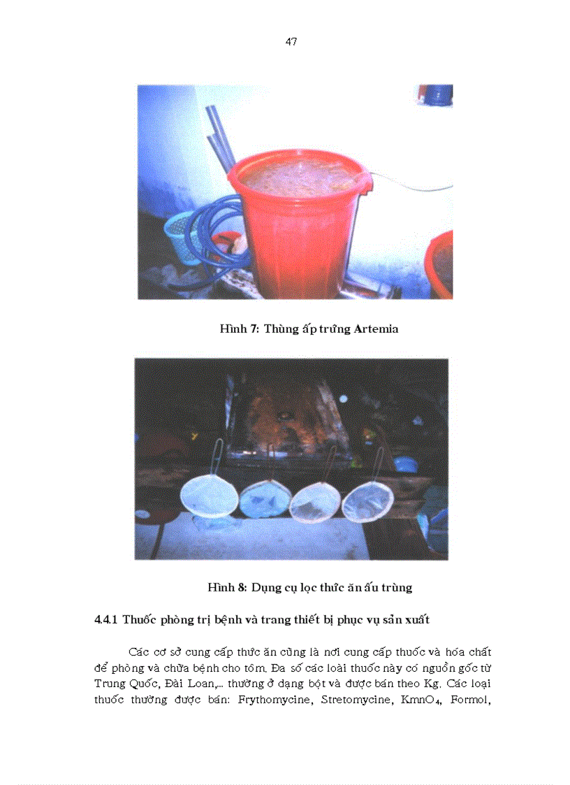 image for page Điều tra tình hình sản xuất giống tôm sú tại Quảng Ngãi