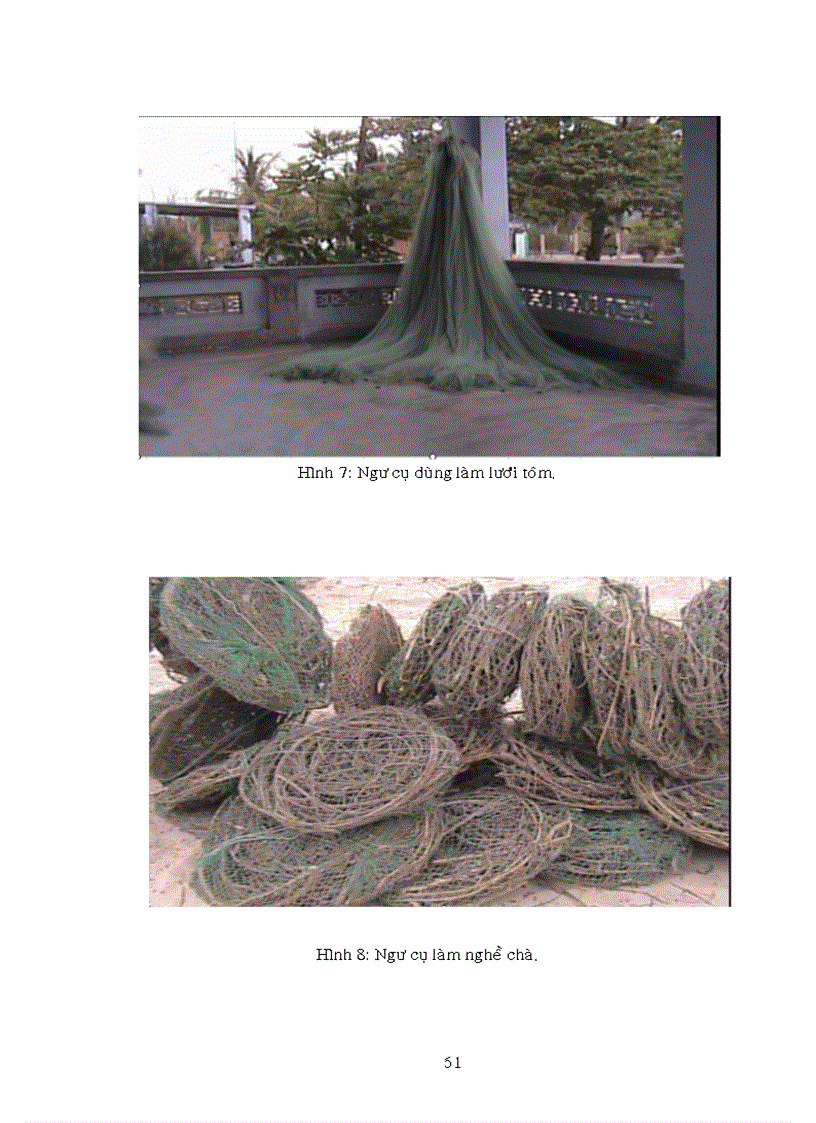 image for page Đánh giá nguồn lợi tôm hùm tại Phú Yên