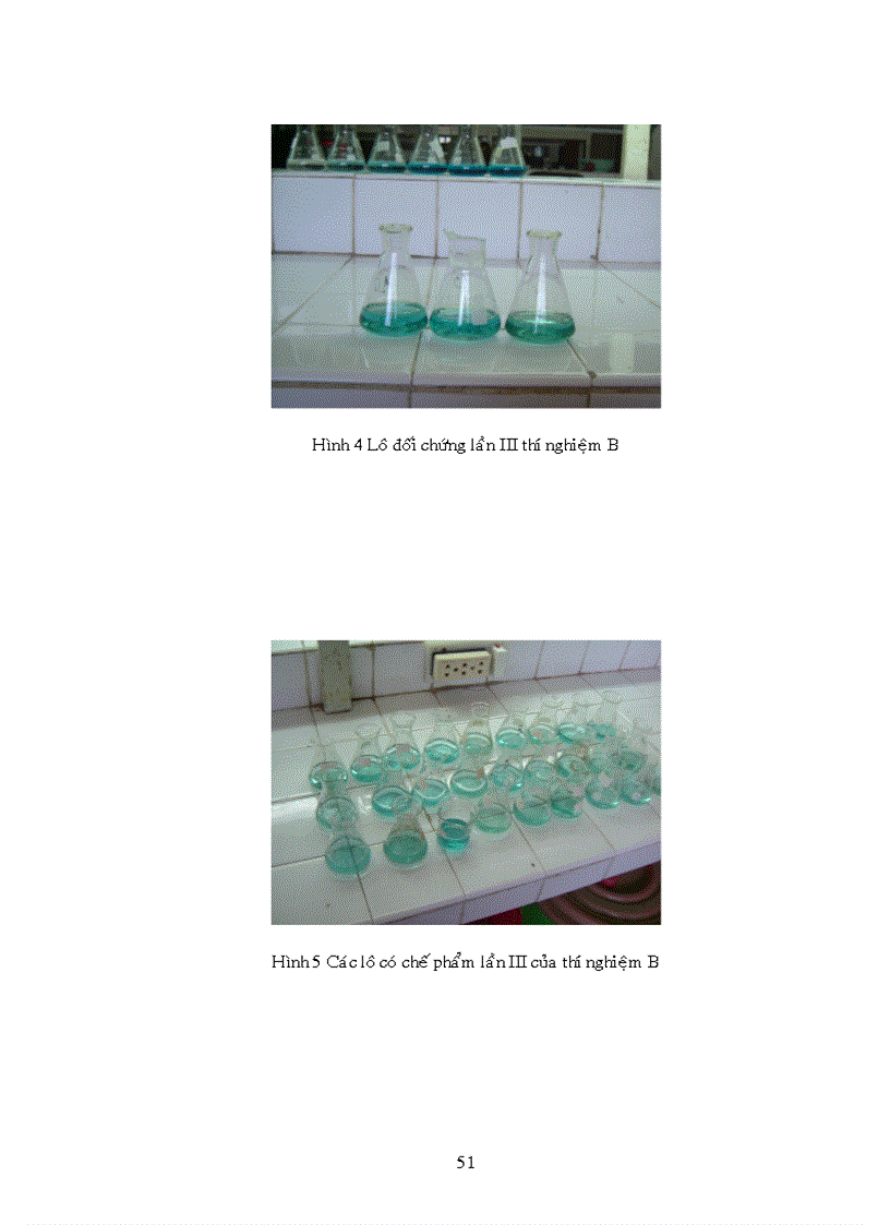 image for page Tác động của chế phẩm sinh học lên môi trường nước