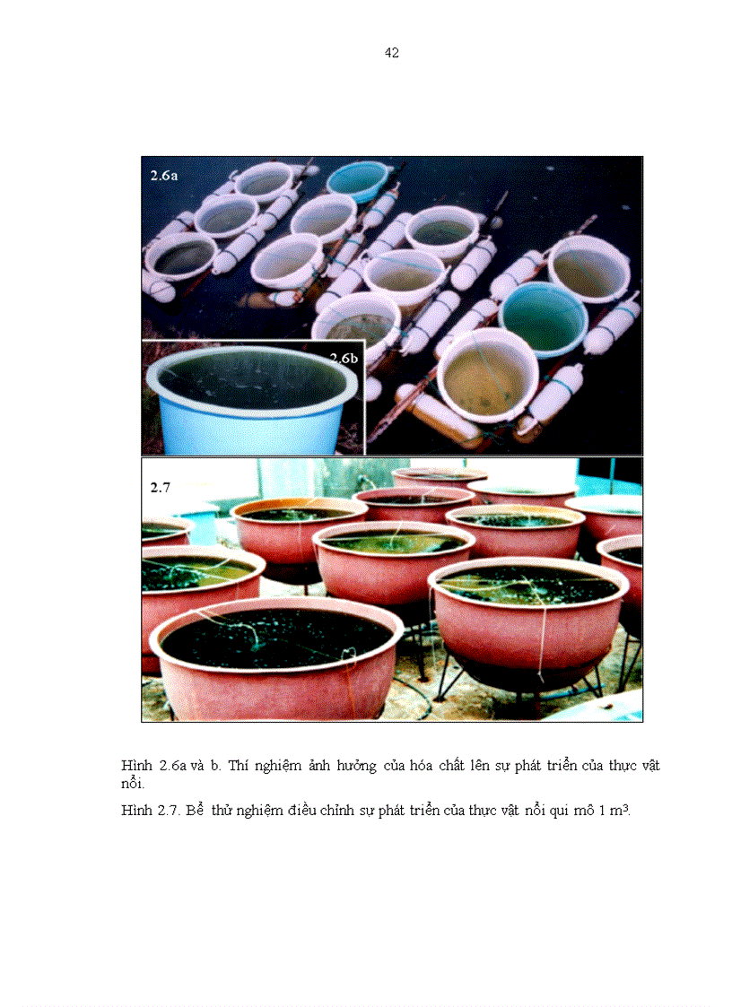 image for page Biến động thành phần loài và số lượng thực vật nổi trong ao nuôi tôm Sú tại Khánh Hòa