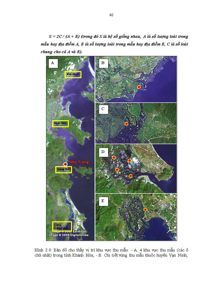 image for page Biến động thành phần loài và số lượng thực vật nổi trong ao nuôi tôm Sú tại Khánh Hòa