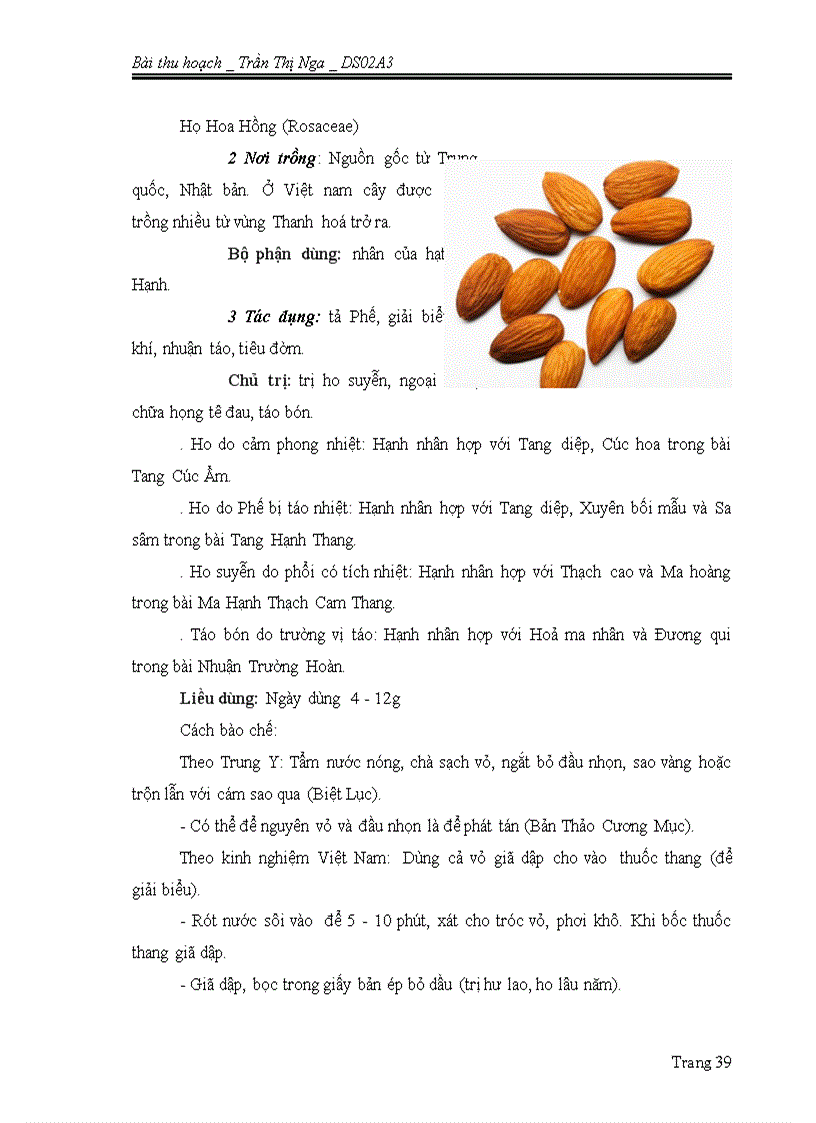 image for page Hạt thuốc