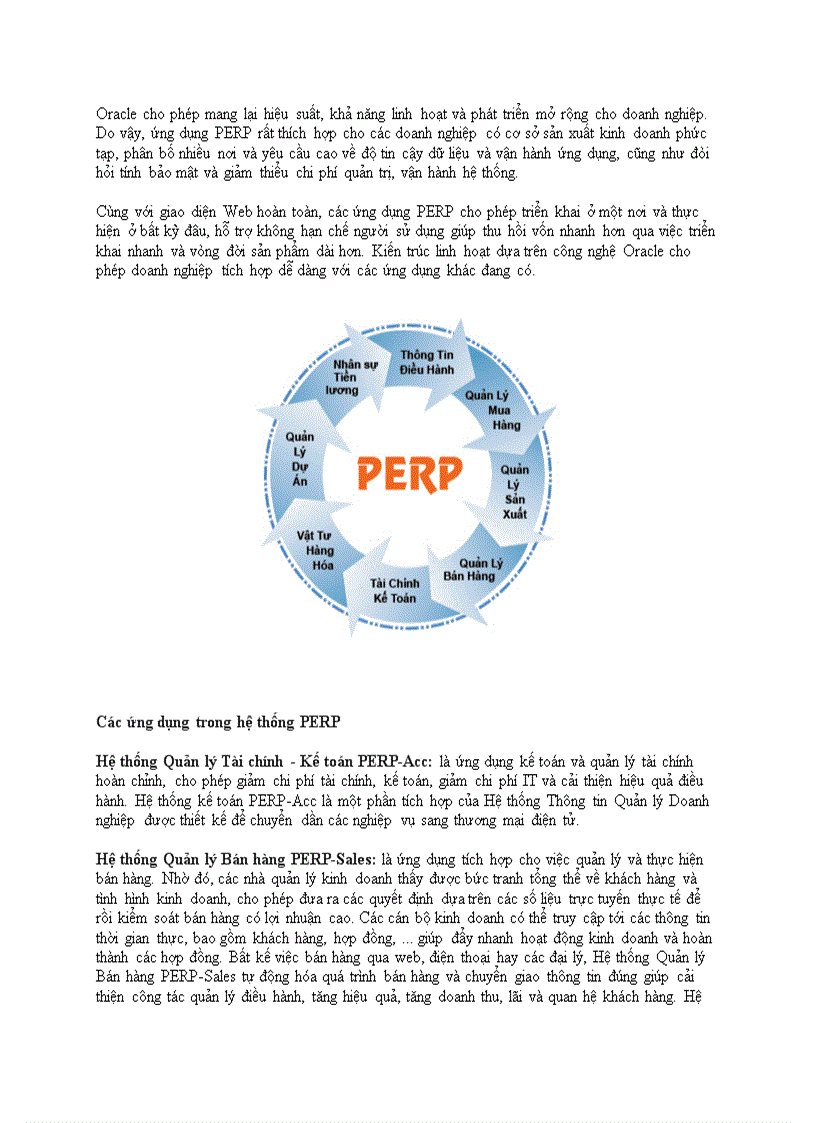 Hệ thống thông tin quản trị doanh nghiệp PERP