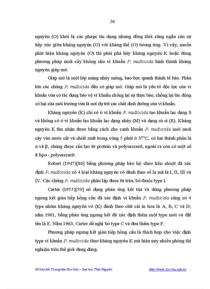 image for page Nghiên cứu một sổ đặc điểm dịch tễ bệnh tụ huyết trùng ở lợn đặc điểm sinh vật học của vi khuẩn PASTEURELLA MULTOCIDA gây bệnh tụ huyết trùng ở lợn tại Tỉnh Phú Thọ và Biện pháp phòn