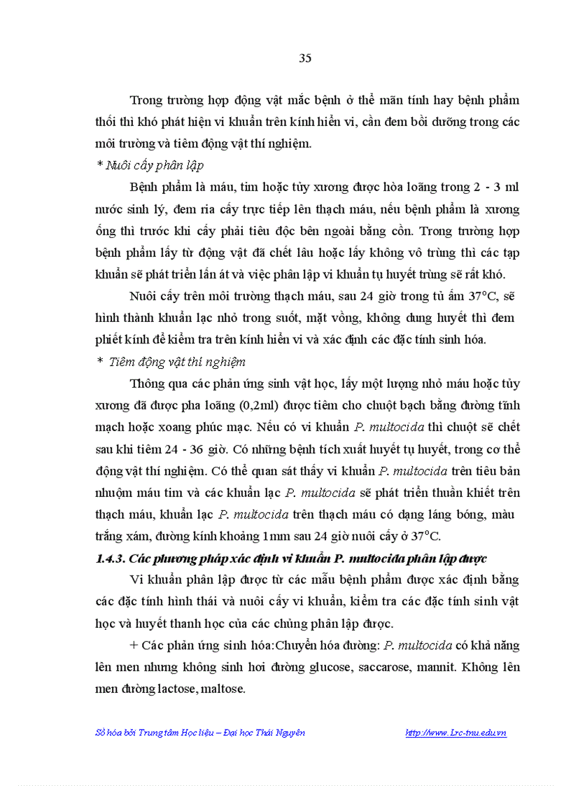 image for page Nghiên cứu một sổ đặc điểm dịch tễ bệnh tụ huyết trùng ở lợn đặc điểm sinh vật học của vi khuẩn PASTEURELLA MULTOCIDA gây bệnh tụ huyết trùng ở lợn tại Tỉnh Phú Thọ và Biện pháp phòn