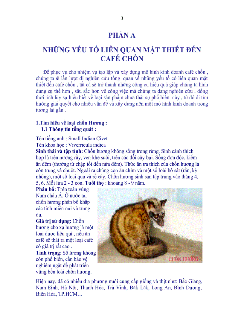 image for page Sự phát triển nào cho Ngôi vị Hoàng đế của cafe Chồn Việt Nam