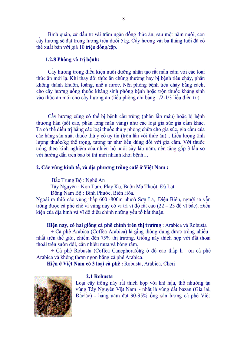 image for page Sự phát triển nào cho Ngôi vị Hoàng đế của cafe Chồn Việt Nam