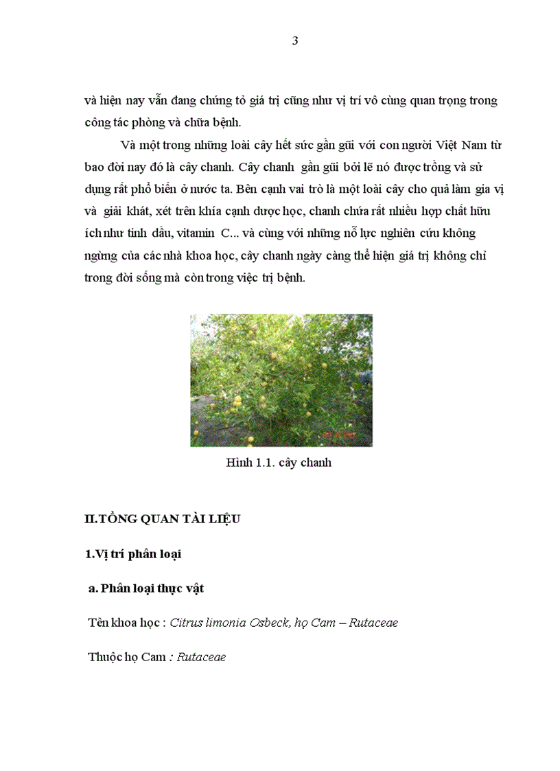 image for page Tổng quan tài liệu về cây Chanh Citrus limonia Osbeck