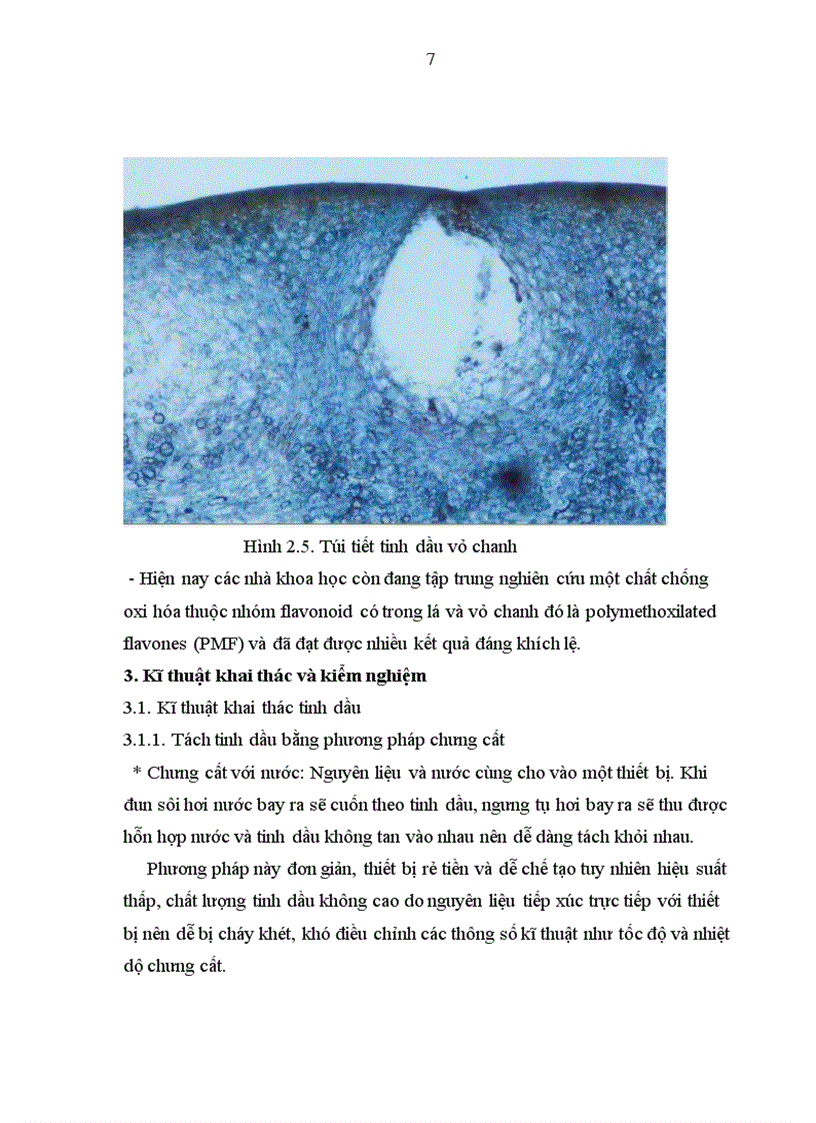 image for page Tổng quan tài liệu về cây Chanh Citrus limonia Osbeck