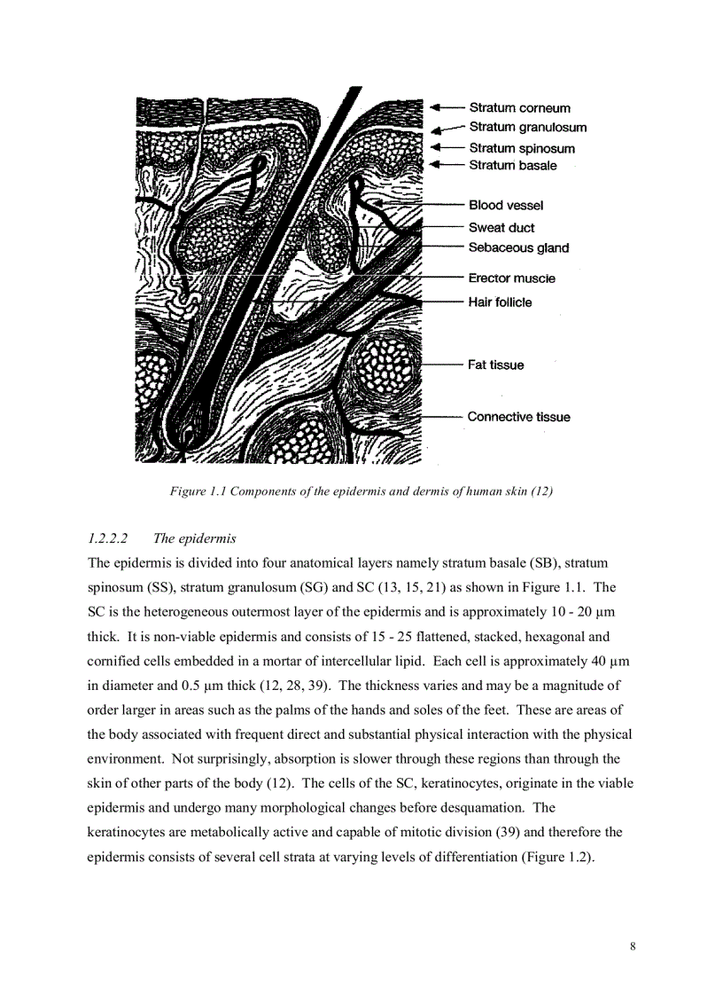 image for page Luận văn thạc sỹ về ketoprofen tiếng anh