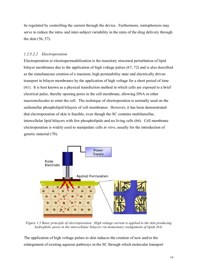 image for page Luận văn thạc sỹ về ketoprofen tiếng anh