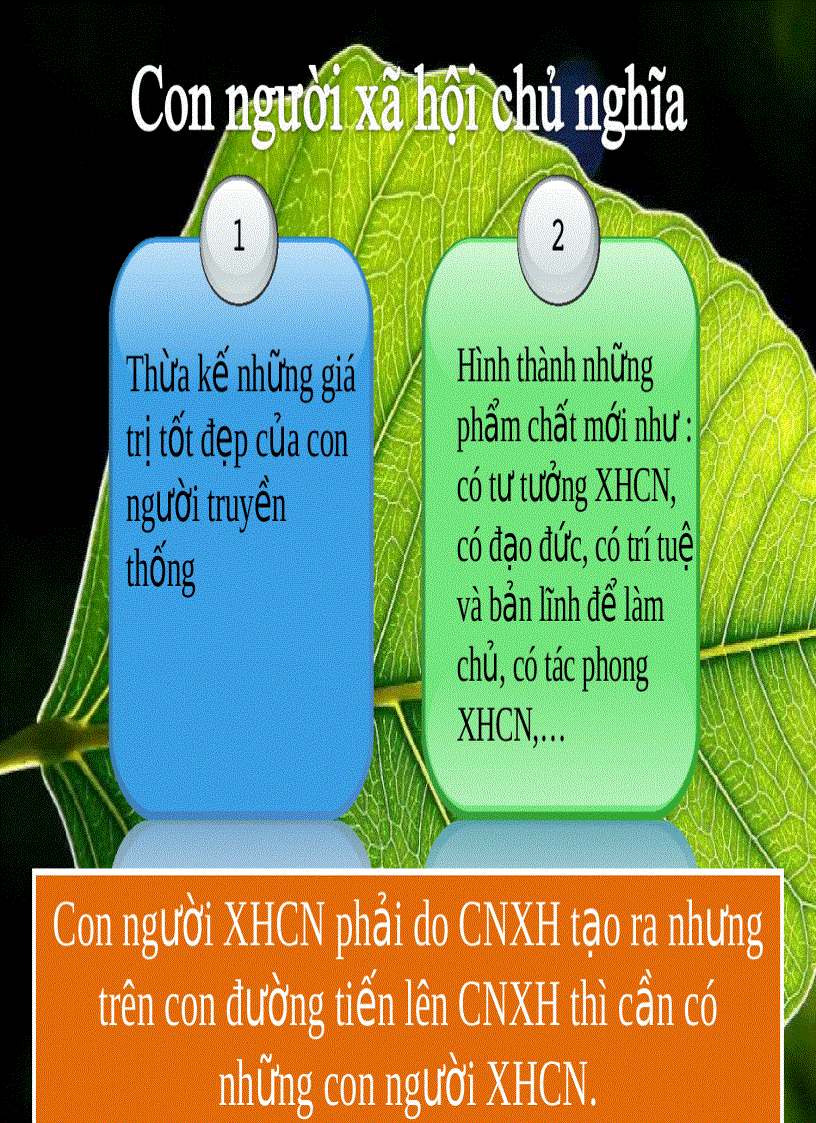 image for page Quan điểm Hồ Chí Minh về vai trò con người và chiến lược trồng người